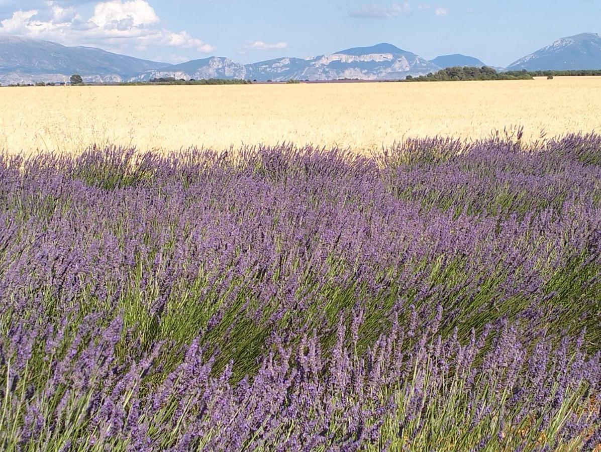 La Provence Vous Attend***!!! - 1Er Etage Digne-les-Bains Eksteriør bilde