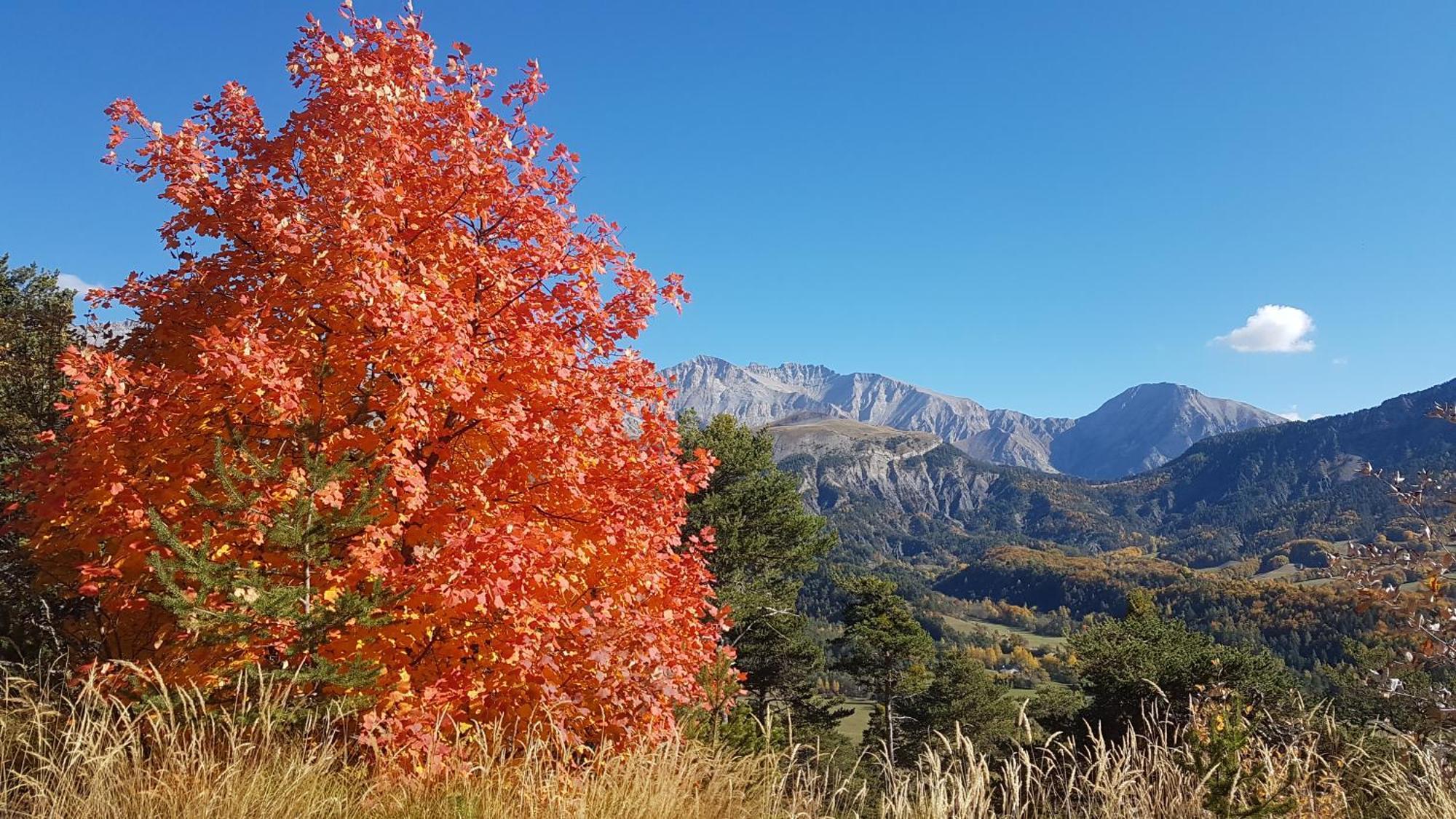 La Provence Vous Attend***!!! - 1Er Etage Digne-les-Bains Eksteriør bilde